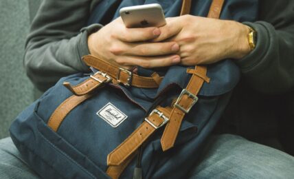 TravelBank app, phone
